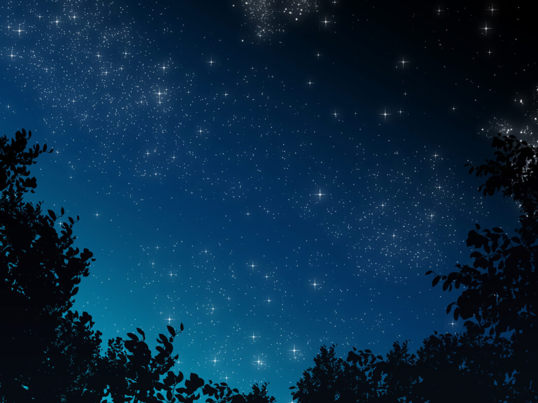 深夜に24時間営業の電話占いを利用する