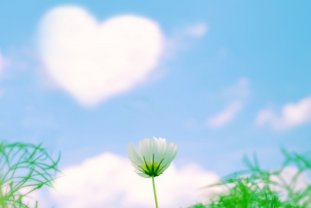 シャーマン占いは自然との繋がりを意識できる