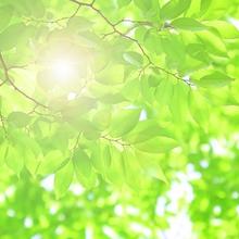 怖いほど当たると仕事の占いが評判のひさたま先生