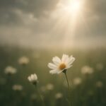 亡くなったペットの魂が光のように雲間から差し込む